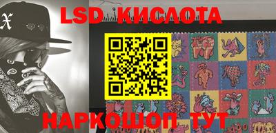прущие крисы Камышлов