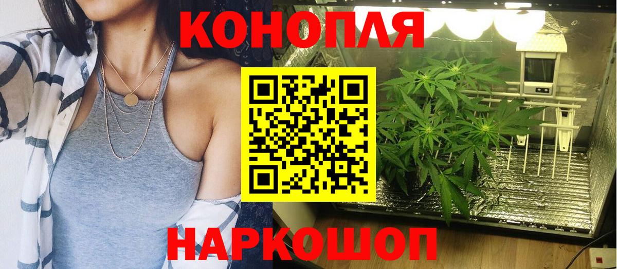Марихуана White Widow Новотроицк